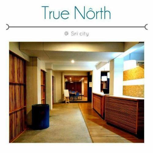 . True North