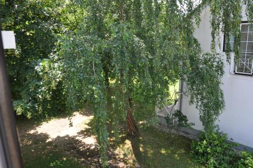 Vas Lipa 8 - 36, Podčetrtek (photo 8)