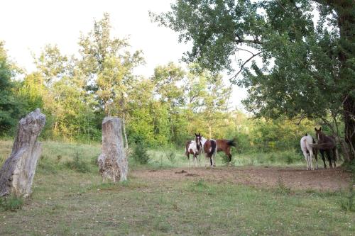 Valle Dell'Aquila Country House