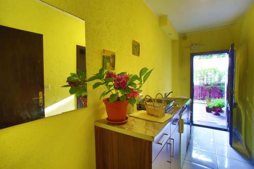 Apartment - Ground Floor image 10
