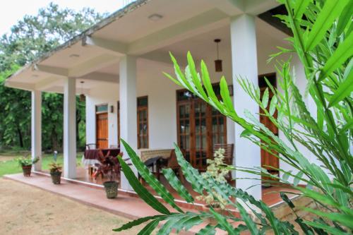 Sigiri Lion Villa Sigiriya