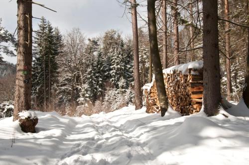 Haus Iris - main image