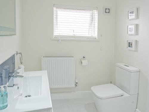 Teifi Netpool - image 4