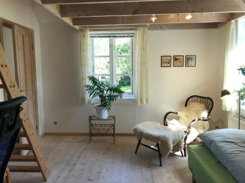 Tranum Lys og Glas - image 13