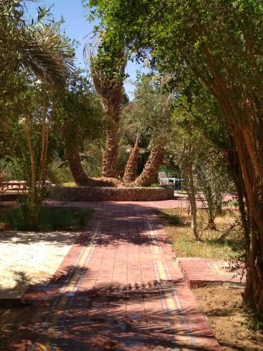 HOTEL mhamid -hotel hamada du draa