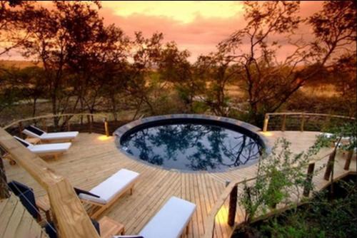 泳池, 南比蒂平原私人遊戲小屋 (Nambiti Plains Private Game Lodge) in 萊迪史密斯