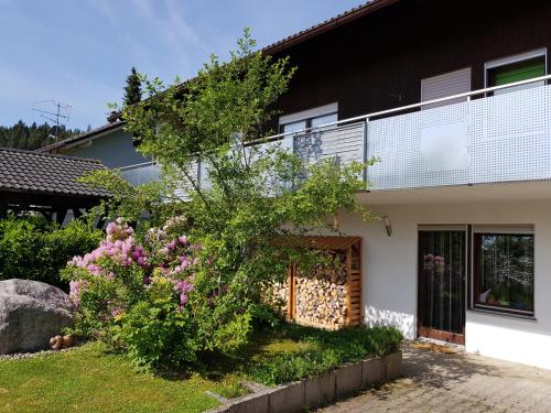 Vchod, Jules Traum im Schwarzwald in Herrischried