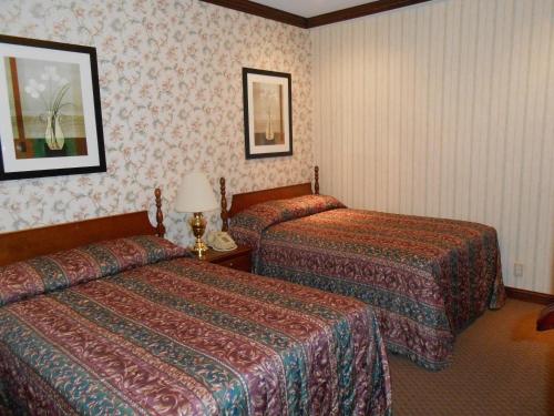 Hotel 31 - image 8