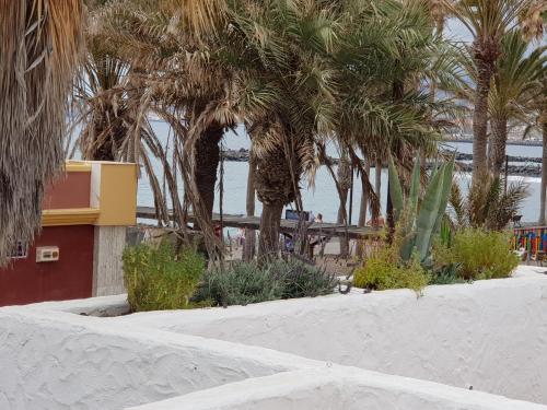 Vila Lavanda - image 12
