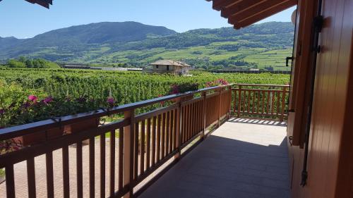 Agritur Clementi 4