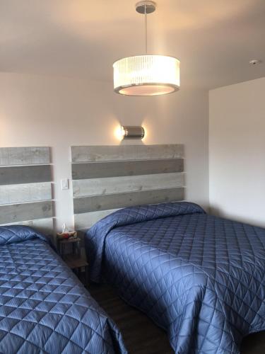 Elect Inn 5, Корнуолл (фото 3)