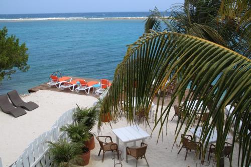 Coral Reef Beach