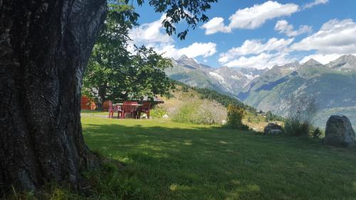 Hotel Alpenblick - image 7