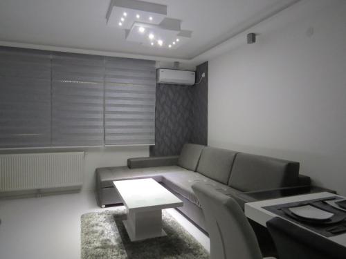 Grey apartment - image 13