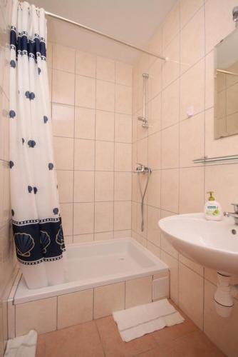  Apartment Zavala 8784a in Zavala
