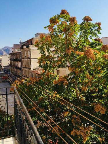 Gò Gò House, Palermo (fotografie 3)