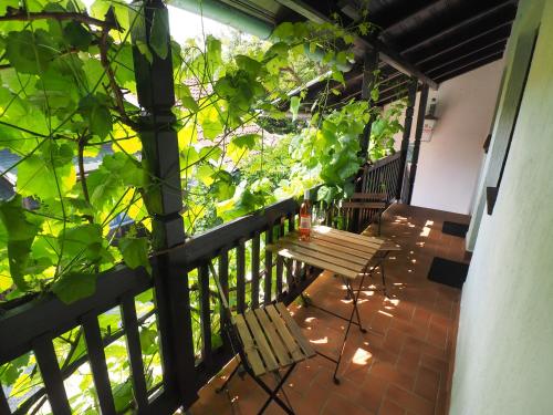 ทัศนียภาพภายนอกโรงแรม, Guest house Sara Latin in อุทยานแห่งชาติพลิทวิค