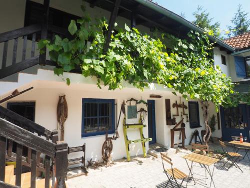 ทัศนียภาพภายนอกโรงแรม, Guest house Sara Latin in อุทยานแห่งชาติพลิทวิค