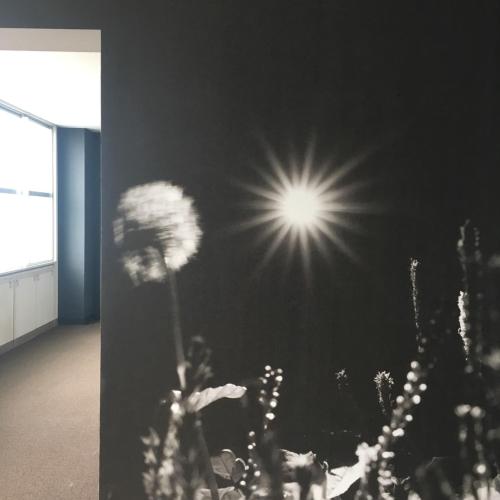 共用Lounge/電視區