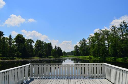 Pod Platanem Gliwice - image 3