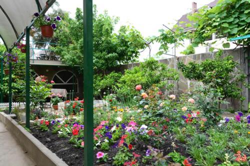 Guest house Korolevyh - image 4