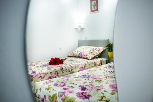 Apartment D&T, Split (photo 6)