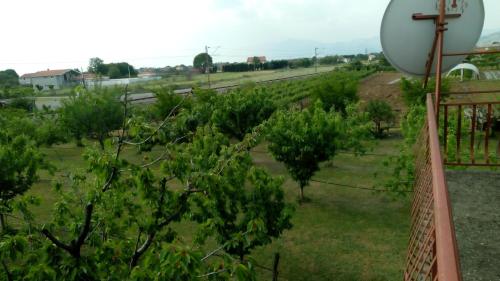 Airport home Radinovic - image 14
