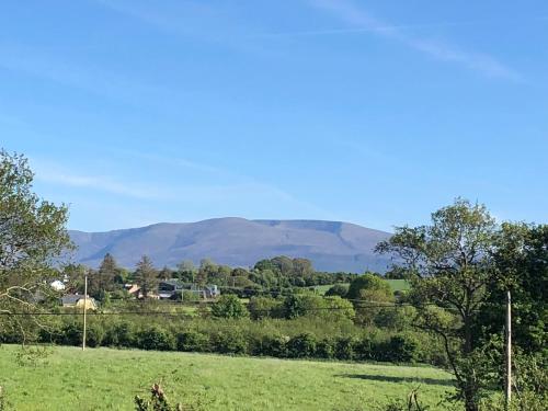 The Beeches, Killarney (fotografie 10)