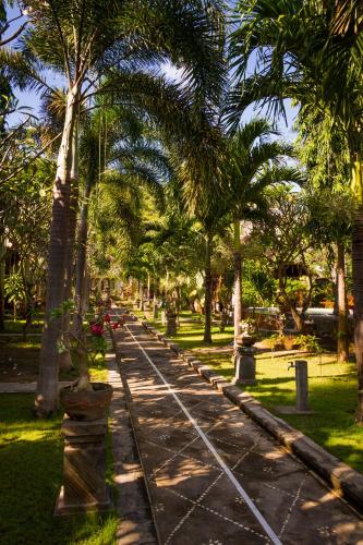 Oasis, Amed (photo 2)