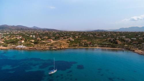 Aneli Luxury Villas-Villa Aegina