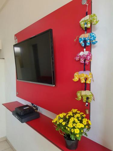 Studio Ana Laura, São Paulo (fotografie 8)