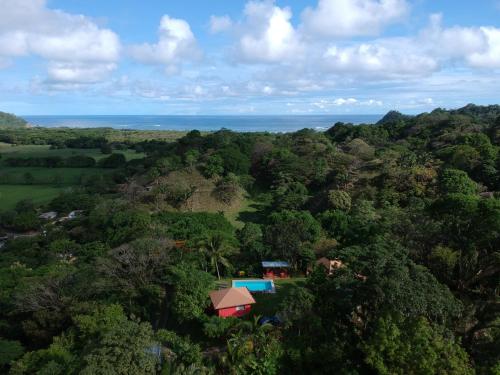 El nido rojo Samara