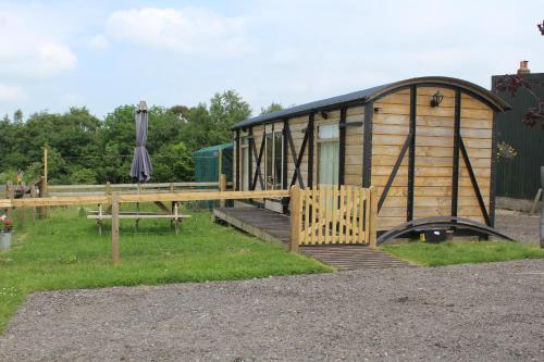 Greenacres Self Catering Railway Wagon, Hawkchurch, Devon