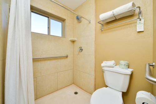King Suite with Mobility Accessible Roll-In Shower - Non-Smoking