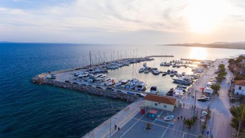  Costa Domus Blue Luxury Apartments in Nikiti