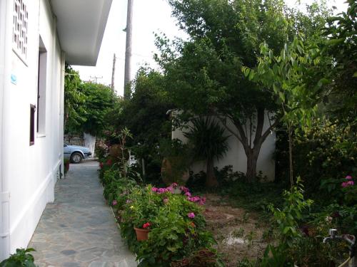 Oasis Studios