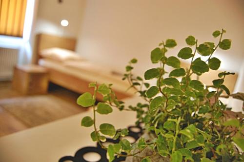 Penzion Pod Kaštanem - image 12