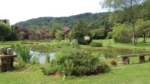 Pied des Milles Etang - Les Capucins - Chambre d'hôtes - Faucogney-et-la-Mer