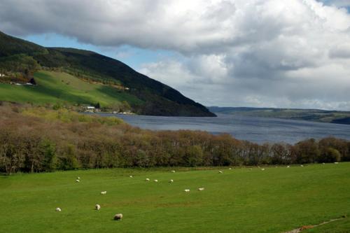 Atholl Arms - image 4