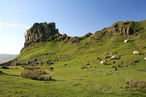 Atholl Arms - image 7