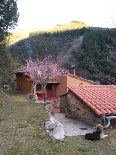  El Lila de Can Teixidor in 17161 Osor