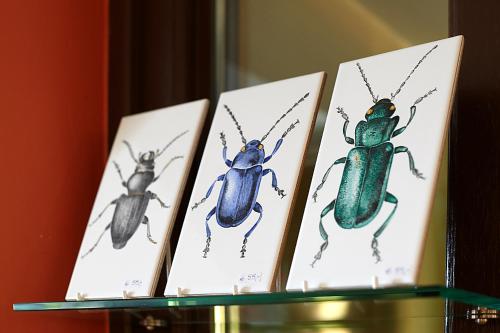 Fährhaus Meißen B&B