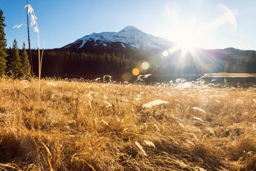 Deer Run 31 - image 2