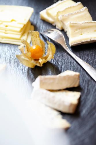 Fährhaus Meißen B&B