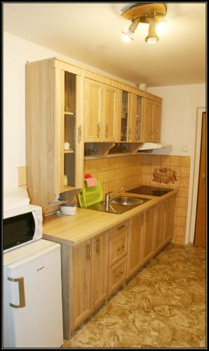 keuken, Apartment Sedivy in Krasna Lipa