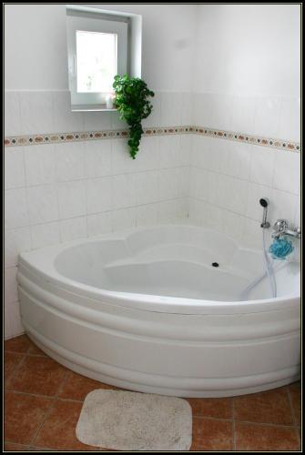 Badkamer, Apartment Sedivy in Krasna Lipa