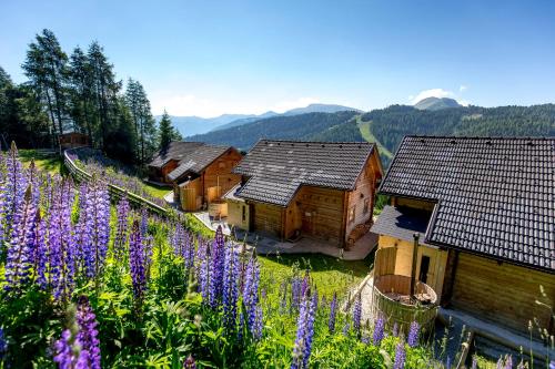 Accommodation in Turracherhöhe