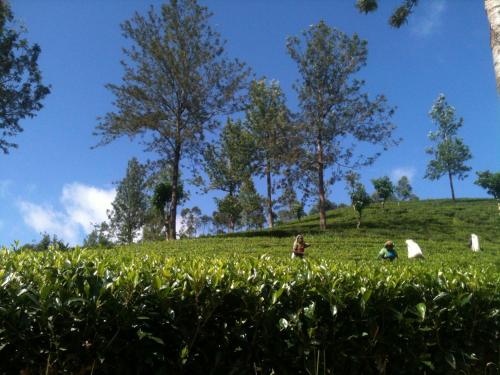 Subash Hotel in Nallathanniya