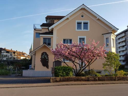 Niros Bed & Breakfast - image 11