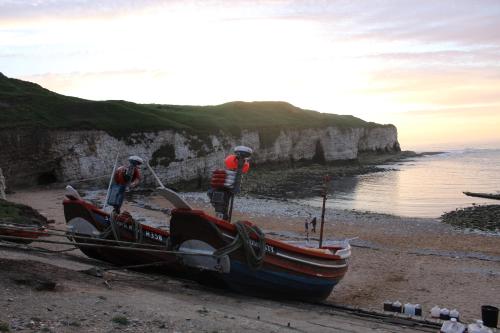Shearwater - image 9